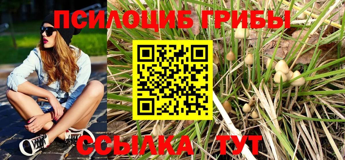Псилоцибиновые грибы ЛСД  наркошоп  Слободской  Вход с VPN 